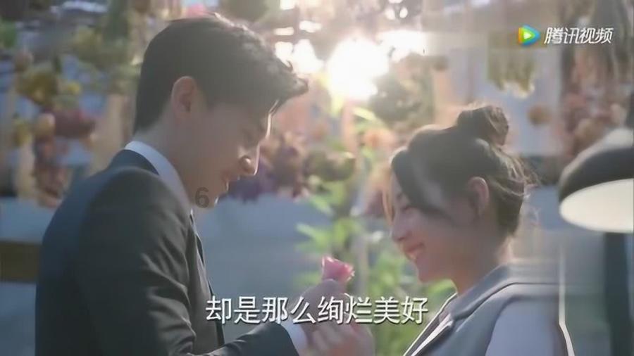 春节文旅市场提前爆火,大马戏羊城献艺贺龙年